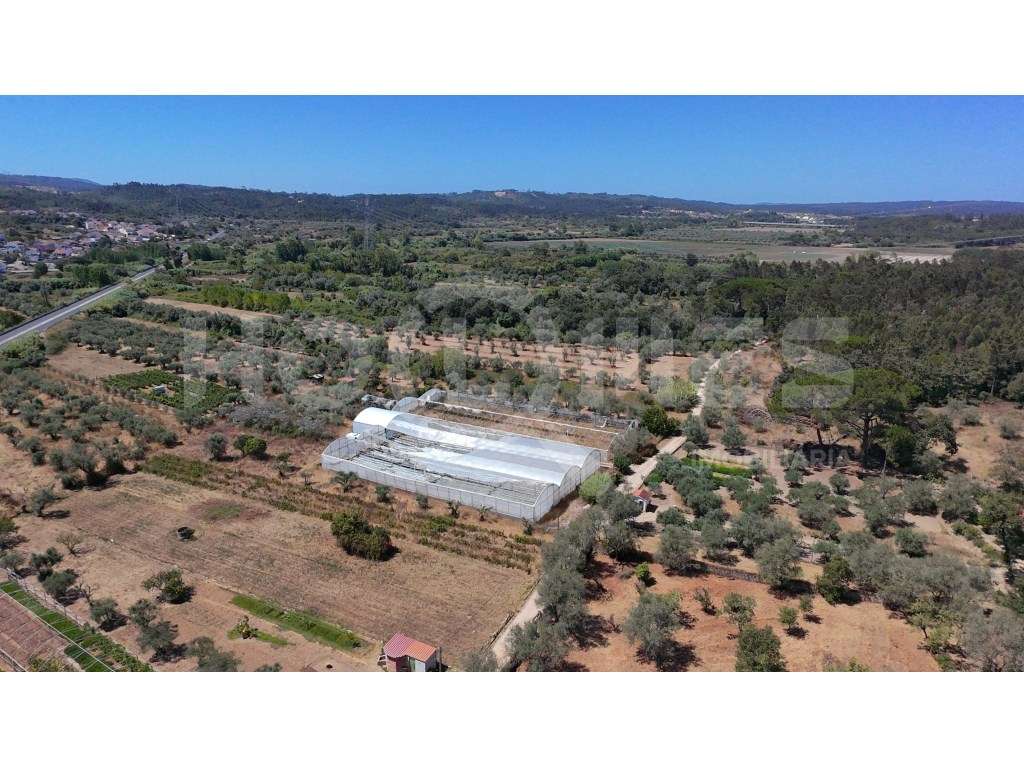 Terreno Agrícola com Estufas Preparadas para Produção em Hidroponia...-24