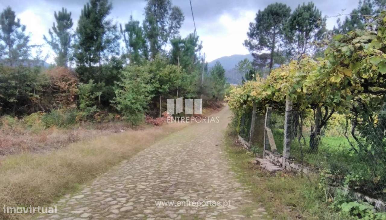 Venda de Bouça, Meixedo, Viana do Castelo - Grande imagem: 2/30