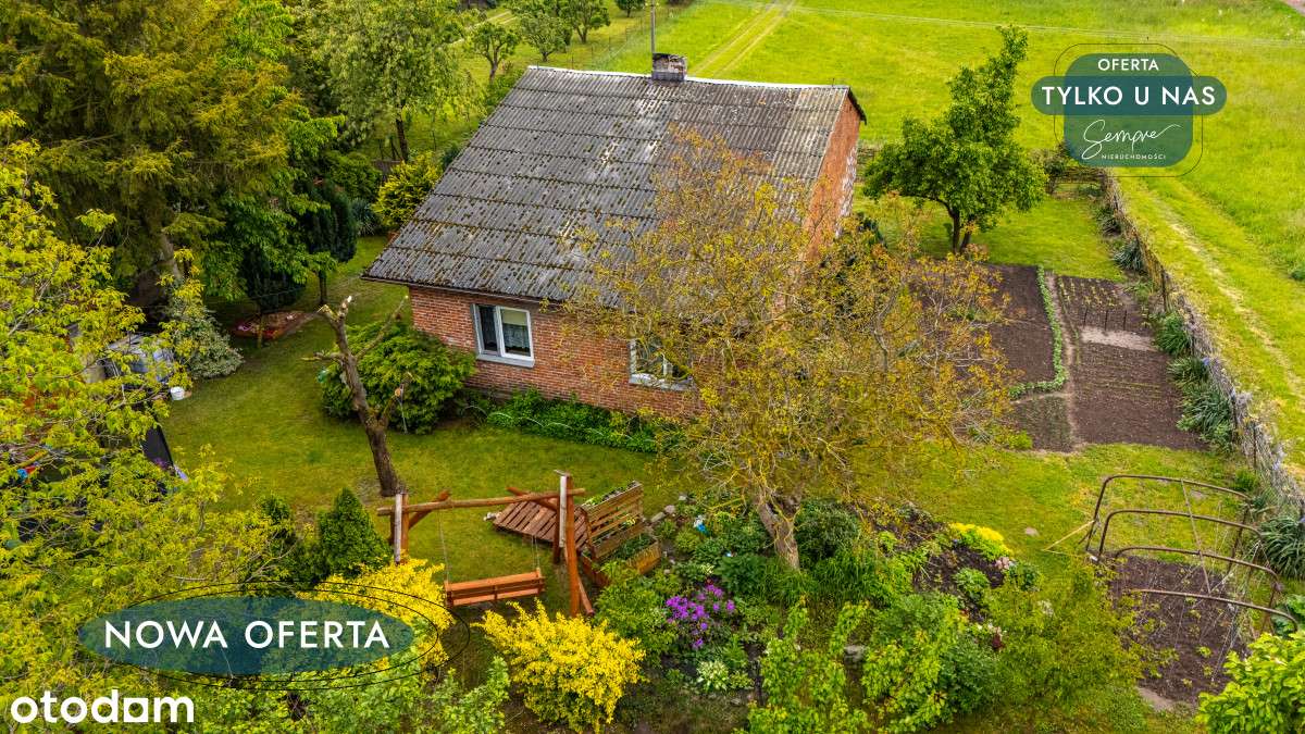 Wymarzone miejsce do życia. Dom do remontu - Pełny obrazek: 3/20