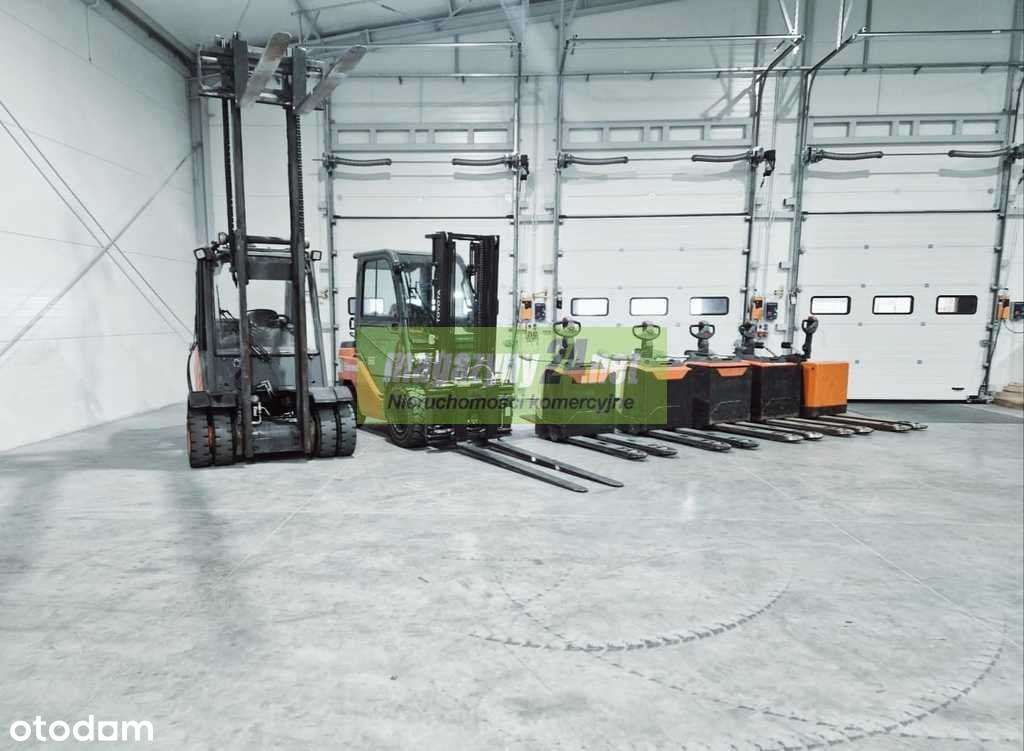 Magazyn 900m2 Gorzewo koło Sierpca - Pełny obrazek: 4/6