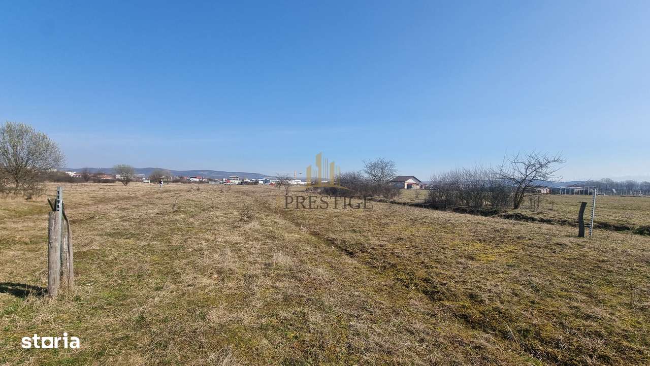 FĂRĂ COMISION | TEREN 1000 MP ȘELIMBĂR ZONA TROIȚĂ | INVESTIȚIE-8