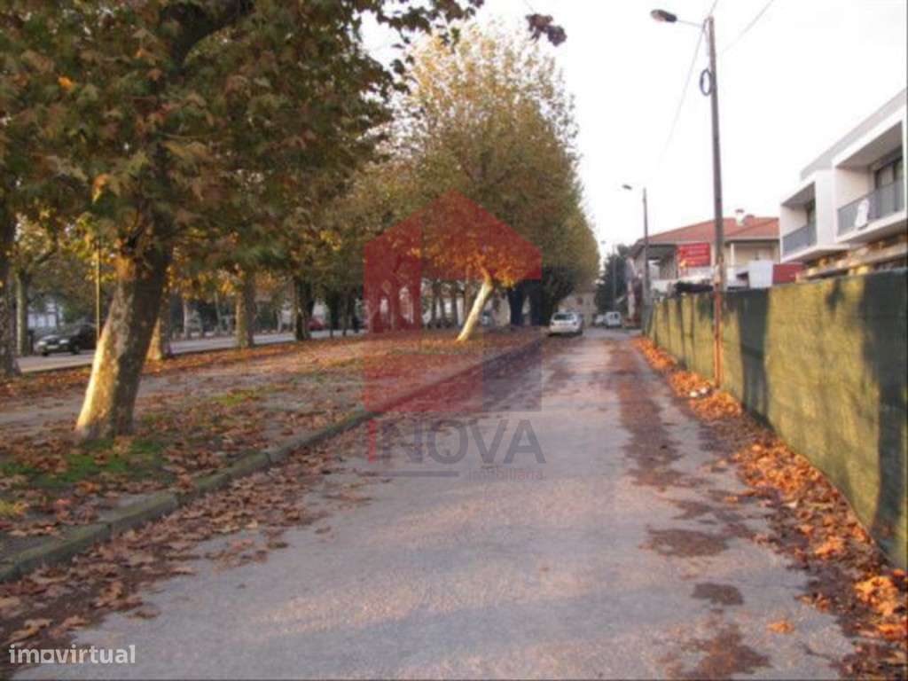 Loja, Soutelo - Grande imagem: 3/4