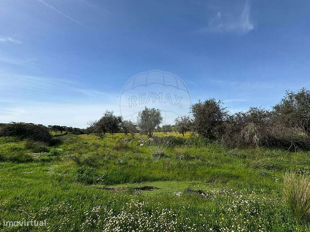 Terreno  para venda - Grande imagem: 2/4