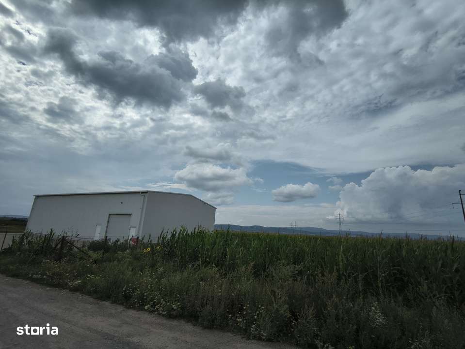 Teren industrial - Imagine principală: 5/11