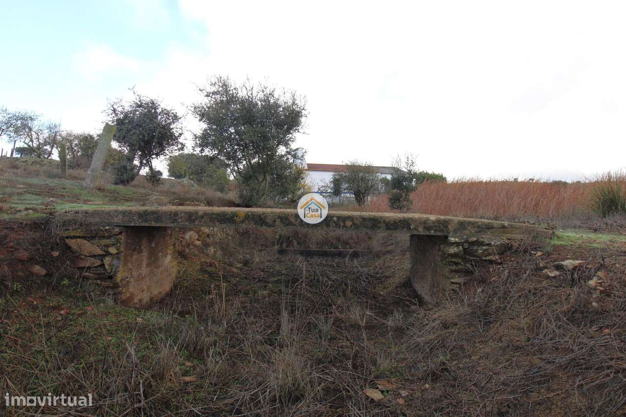 Herdade com 13,8 Hectares Localizada a 5 Kms da Vila de Redondo - Grande imagem: 5/51