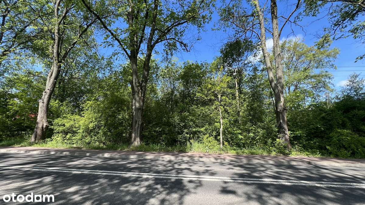 Byszewy! Piękny rejon, dobra lokalizacja i zielono! - Pełny obrazek: 1/9