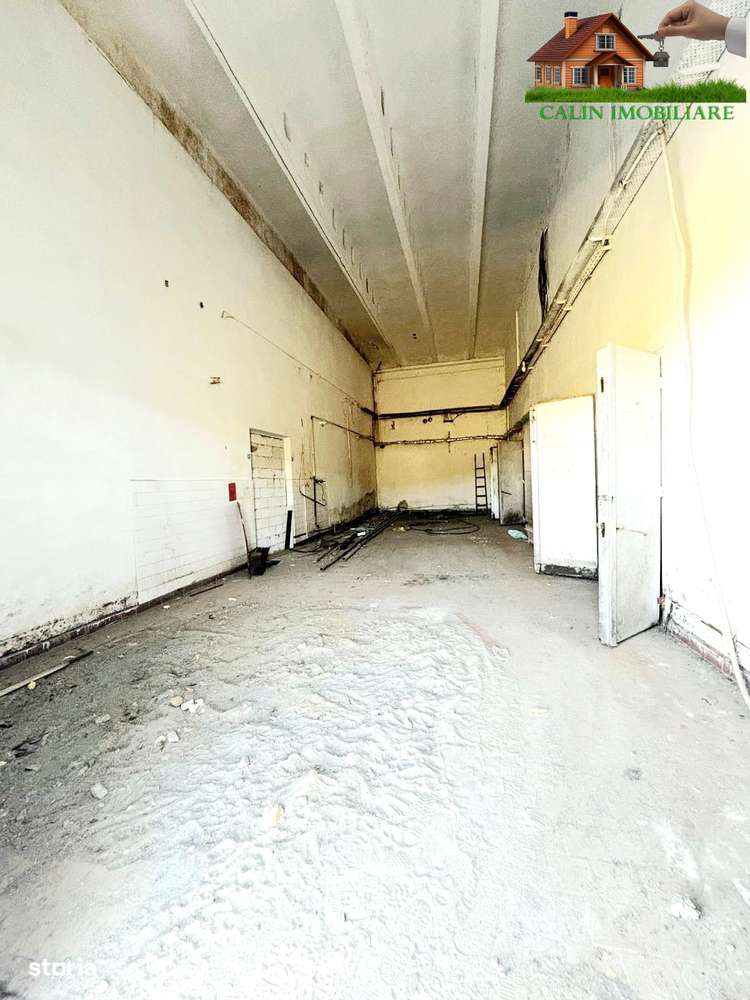 HALĂ INDUSTRIALĂ  Bucium  480 MP  DEPOZITARE 4 euro/mp + TVA - Imagine principală: 3/7