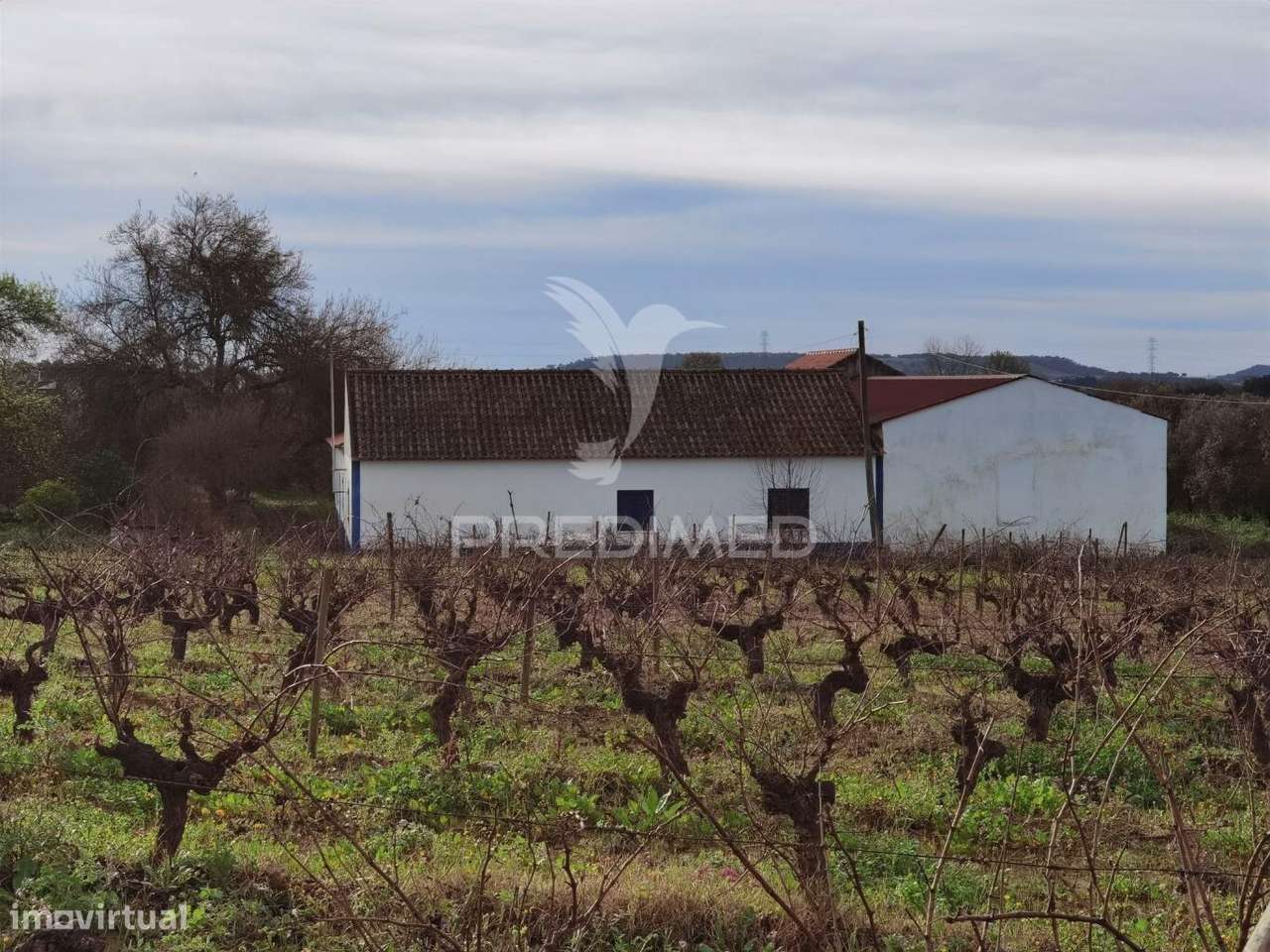 Deslumbrante Quinta , localizada em pleno Ribatejo Casével / Santarém - Grande imagem: 2/40