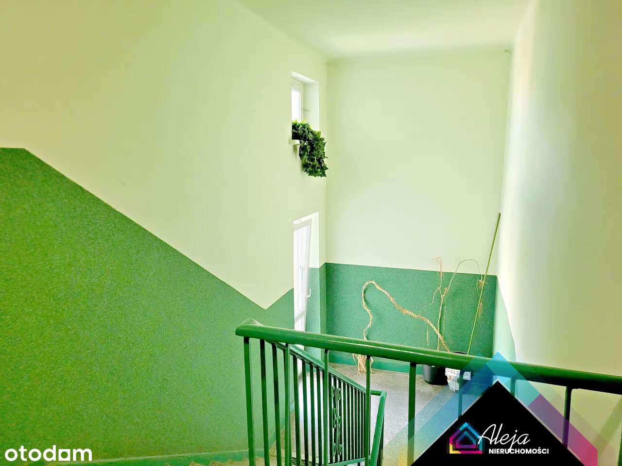 M 3 do zamieszkania w centrum - Pełny obrazek: 3/12