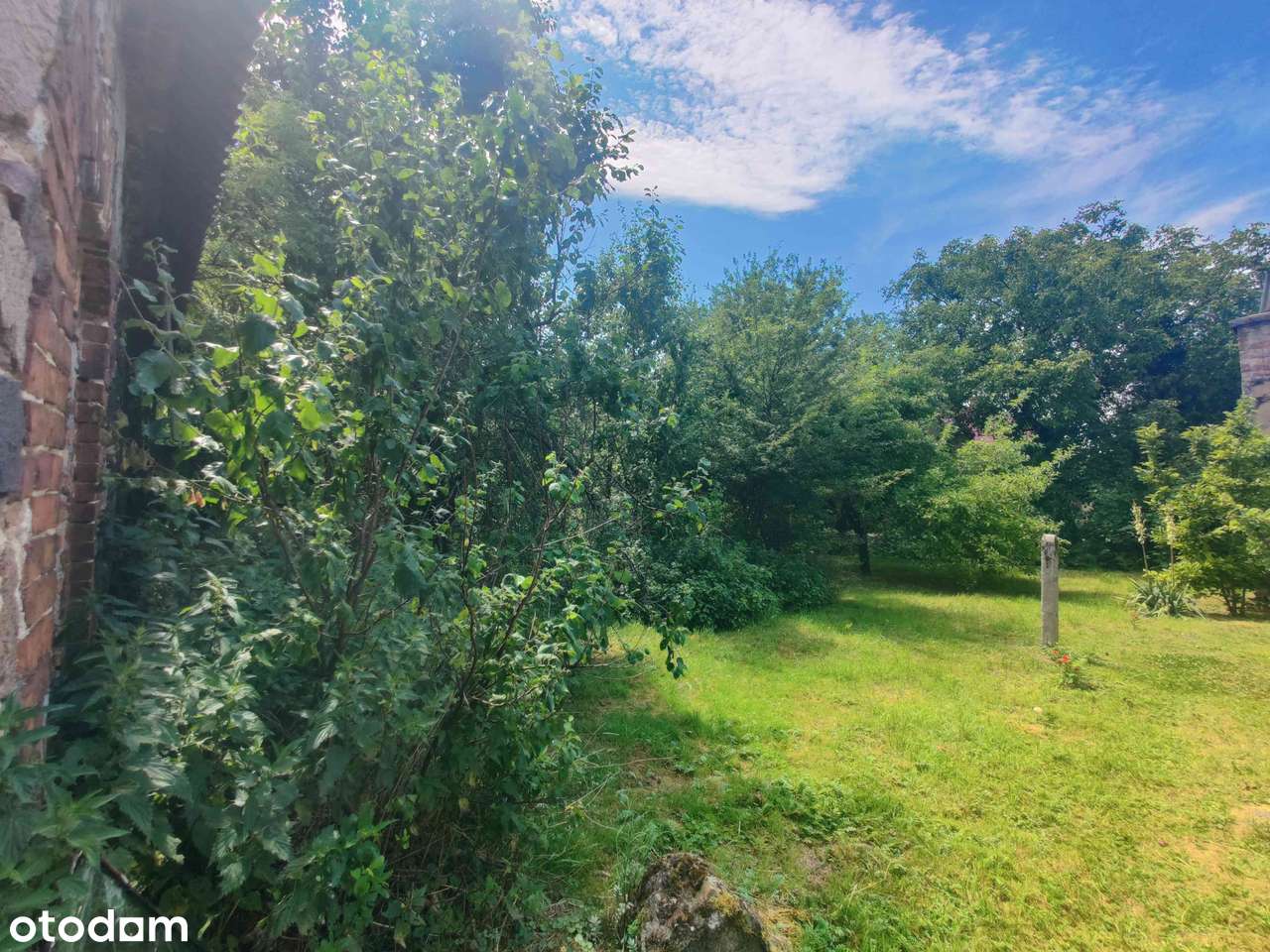 Dom do remontu na dużej działce 29a - Pełny obrazek: 4/6