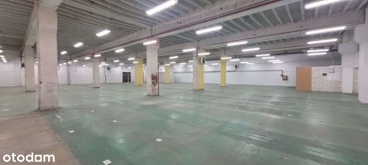 Okazja Hala, Magazyn - Kraków Podgórze - Pełny obrazek: 5/15