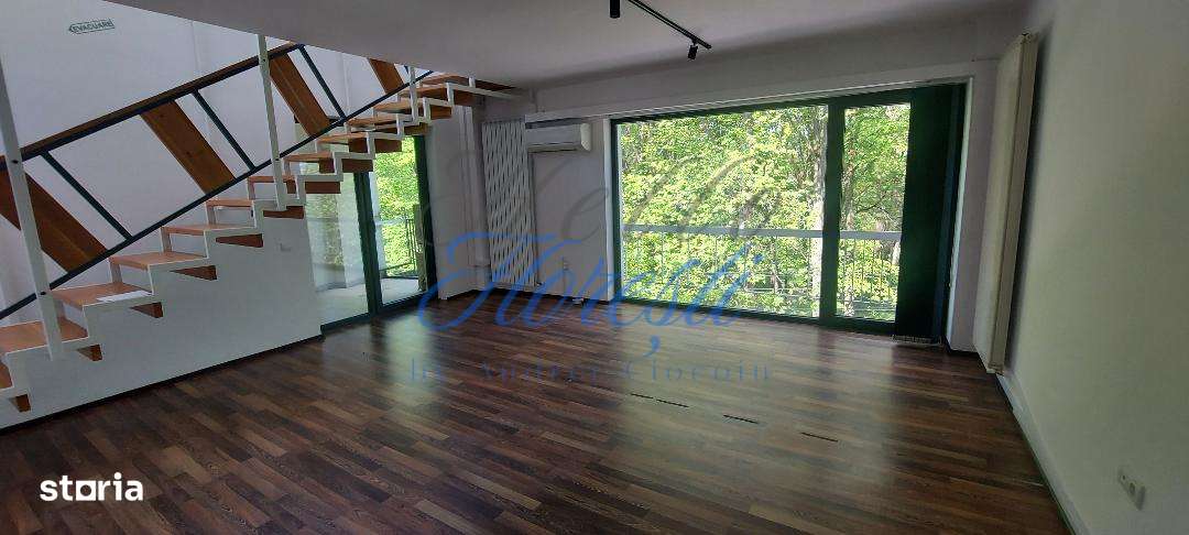 Spatiu birouri 250 mp Zona Gradina Botanica , Cluj - Imagine principală: 5/10