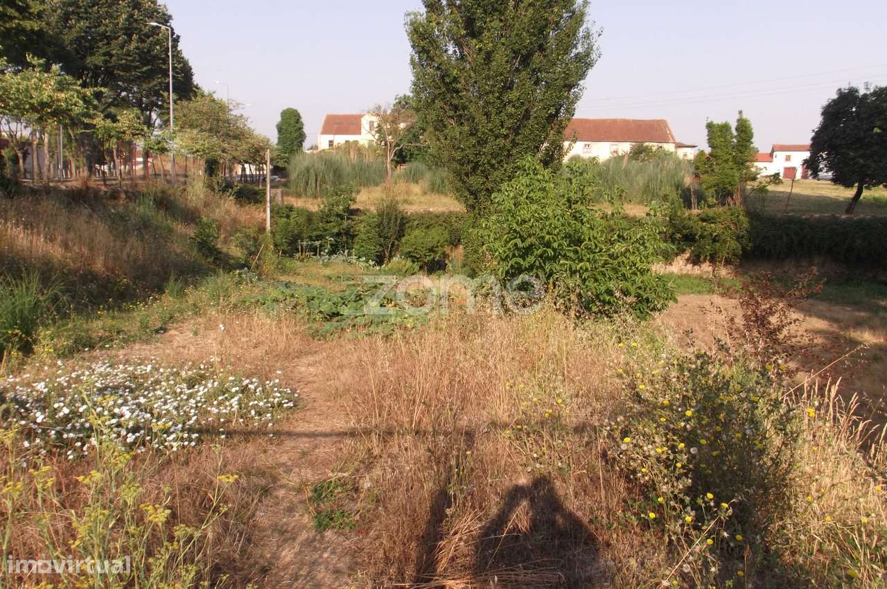 TERRENO PARA CONSTRUÇÃO EM ALTURA NO CENTRO DE ARRIFANA - Grande imagem: 4/16