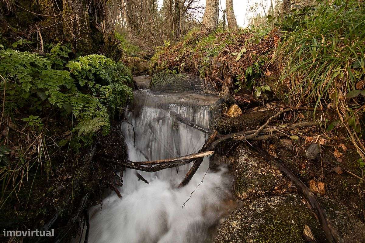 Quinta  para venda-9