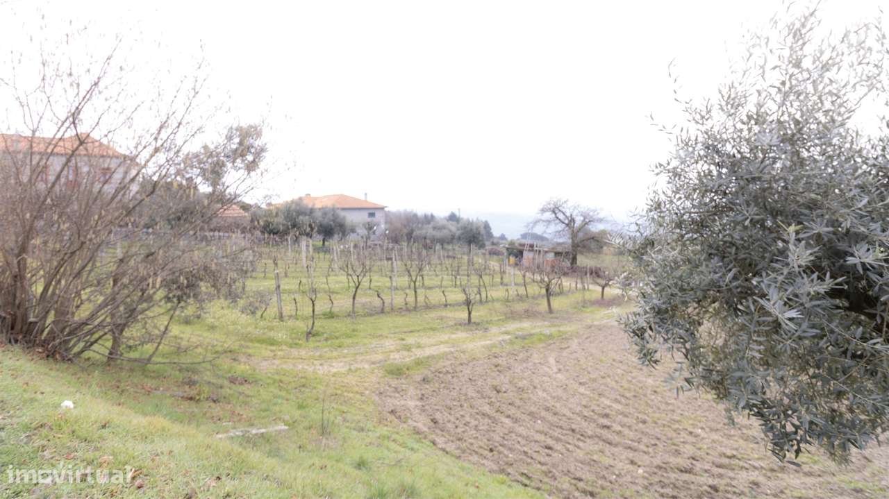 Terreno para Construção - São João de Lourosa - Grande imagem: 4/10