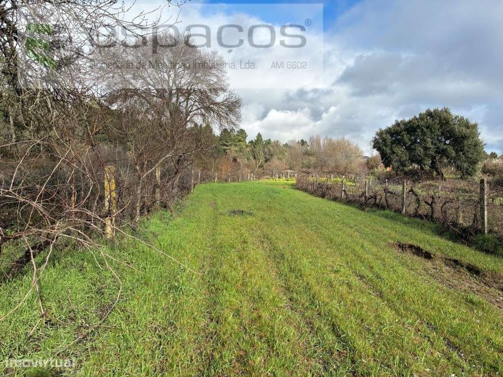 Magnifica Quinta a confinar com Rio Zêzere-6