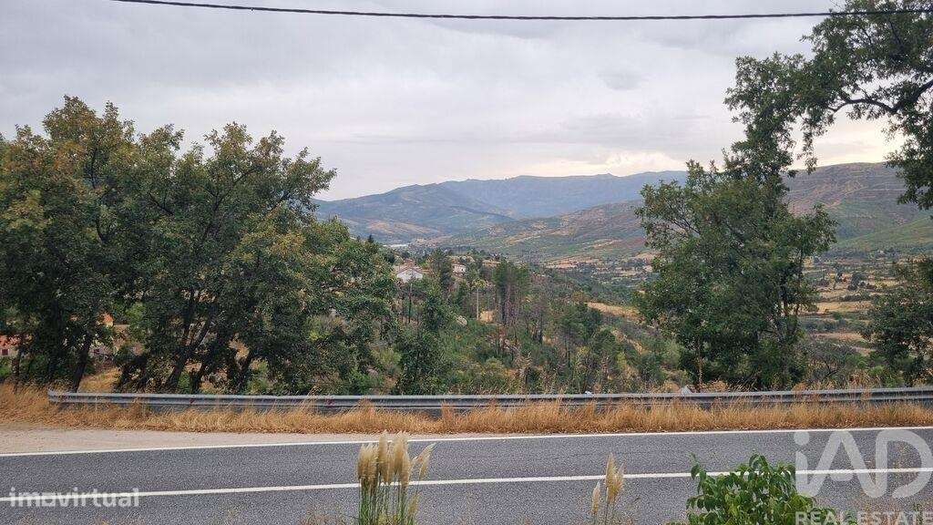 Quinta T2 em Famalicão - Grande imagem: 5/36