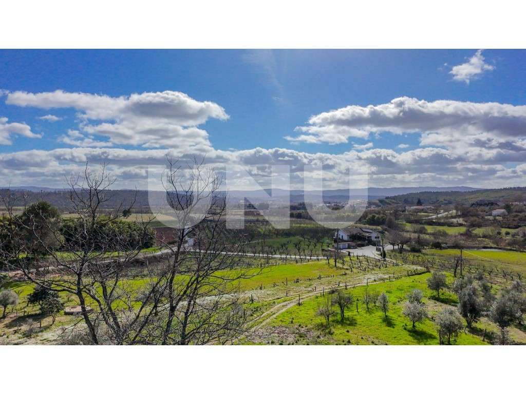Quinta T2 com Habitação, Infraestruturas Agrícolas e Terreno com Vi...-38