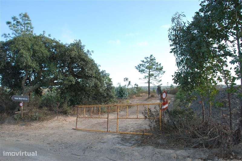 TERRENO RÚSTICO PRÓXIMO DA PEDRALVA - Grande imagem: 5/16