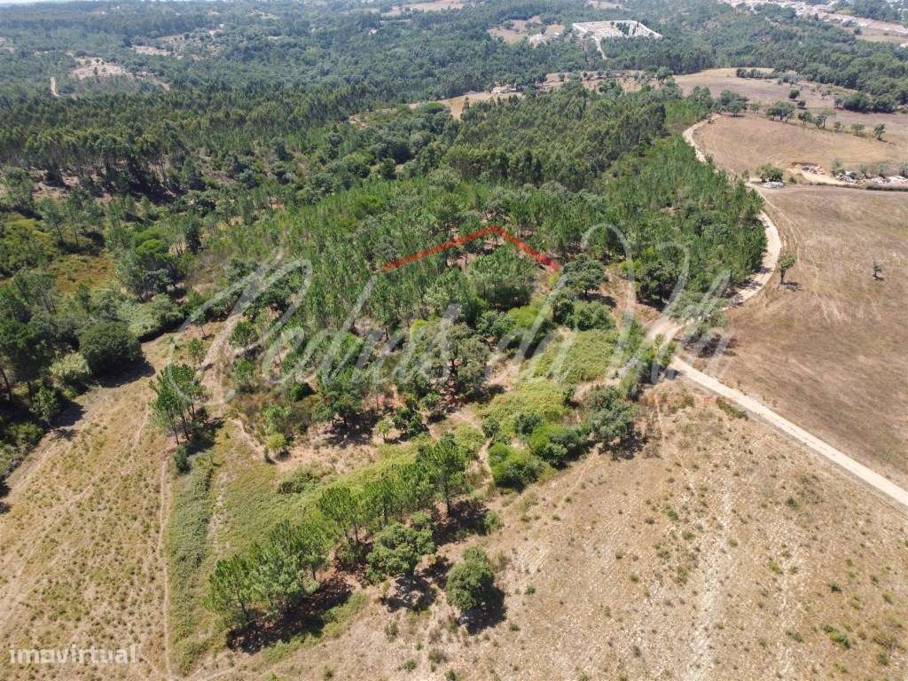 Quinta de 25ha com projeto aprovado - São Teotónio - Odemira-15