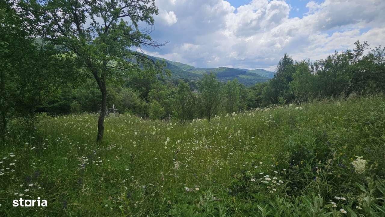 Teren de vanzare in Valea Doftanei - Imagine principală: 2/5
