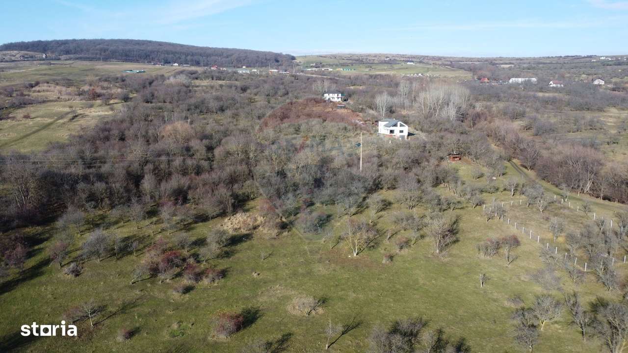 Teren 20.146 mp Dâmbu Rotund (Lomb).Extravilan.Potențial rezidențial-7