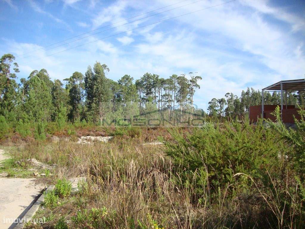 Terreno - Grande imagem: 4/4