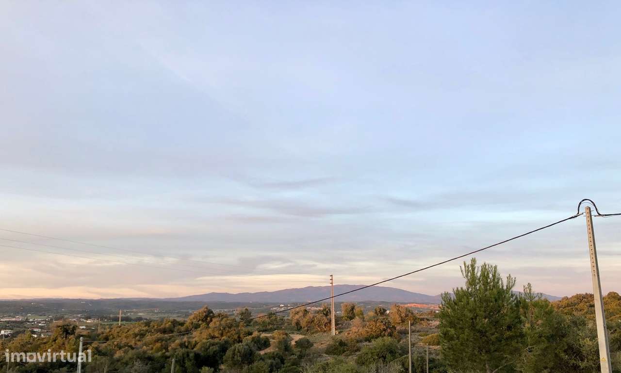 TERRENO RUSTICO PERTO DOS PALMARES, ODIÁXERE - Grande imagem: 4/5