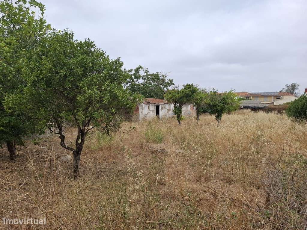 Edifício situado em Grândola (Excelente Localização)-12