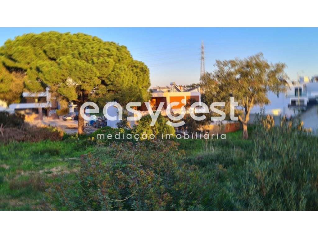 Terreno Quinta da Amizade com projeto aprovado para Moradia T3 - Grande imagem: 2/15