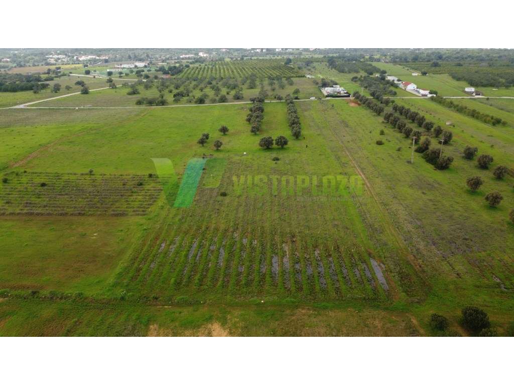 Lote de terreno rústico perto de Paderne, plano, vedado e com vista...-10