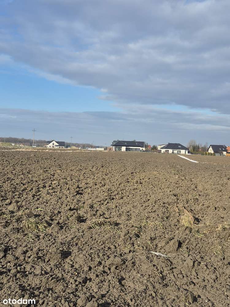 Działki w Chudowie-2