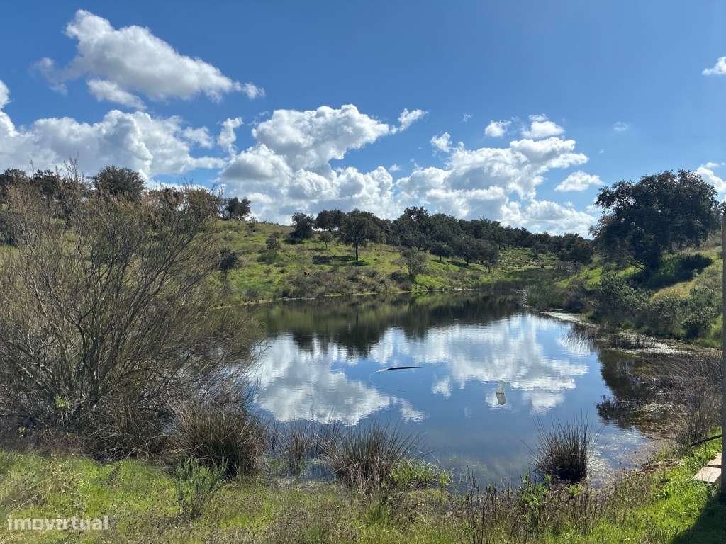 Quinta T2 em Serpa | Vista para a barragem-40