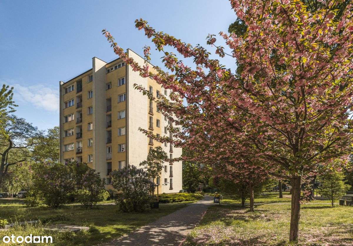 2 pokoje częściowy remont-15