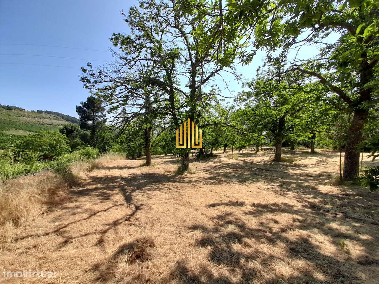 Terreno único com 21.500 m² Zona Vinhateira - Projeto Turístico-30