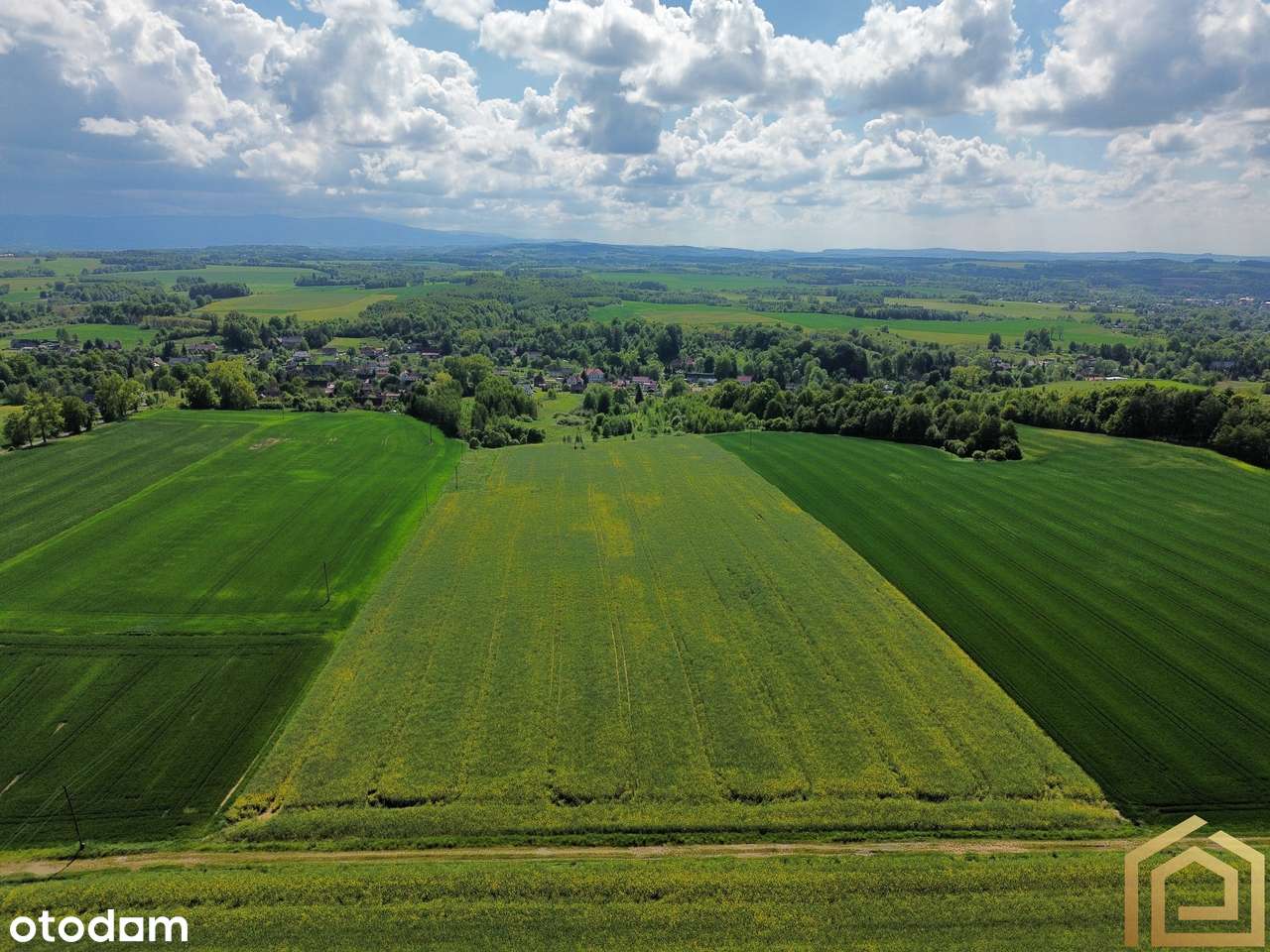 Duża działka rolna | Świetna lokalizacja - Pełny obrazek: 4/8