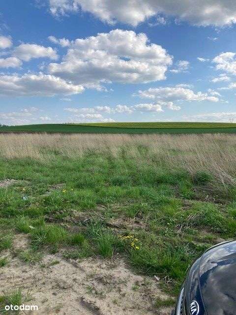 Działka budowlana pod Głogowem Kurowice Modła-12