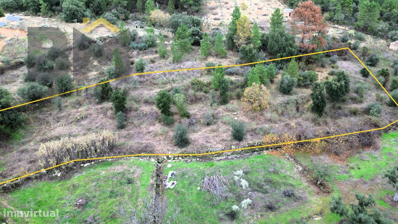 Terreno Rústico  Venda em Salgueiro do Campo,Castelo Branco - Grande imagem: 2/10