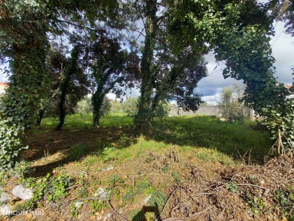 Lote de terreno para construção de moradia - Grande imagem: 4/8