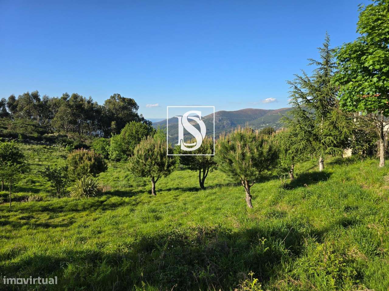 MORADIA T1 RENOVADA COM 10.000 m² – BUSTELO, AMARANTE-24