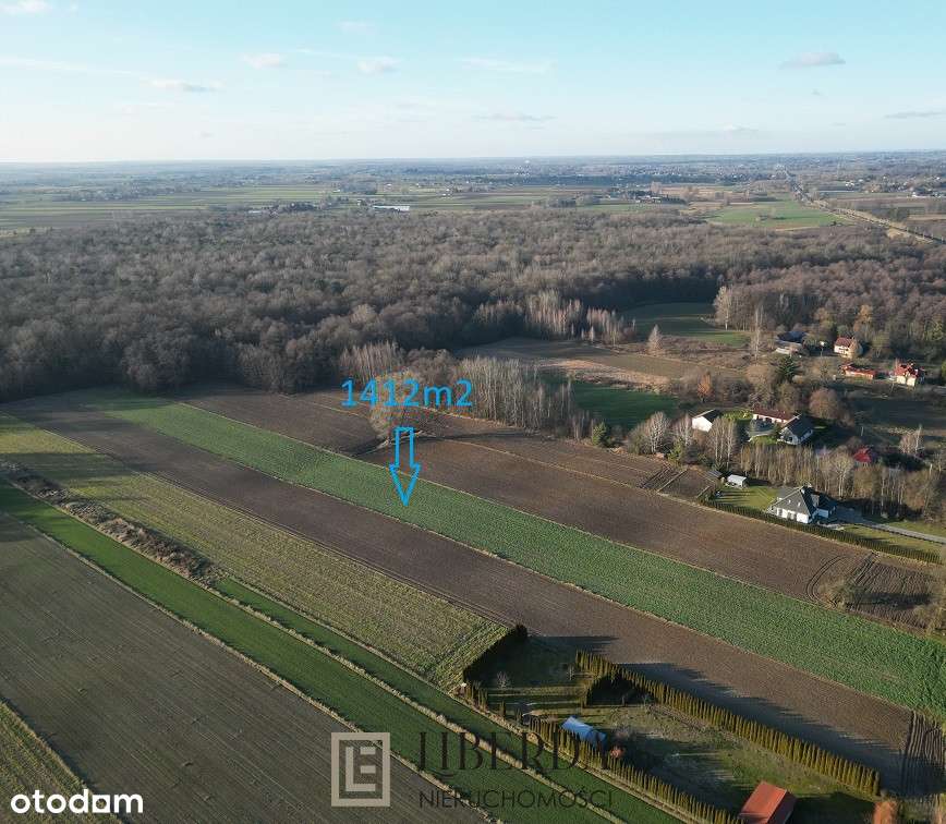 Motycz Leśny - 1412 m2 - okolice Lublina - Pełny obrazek: 3/3