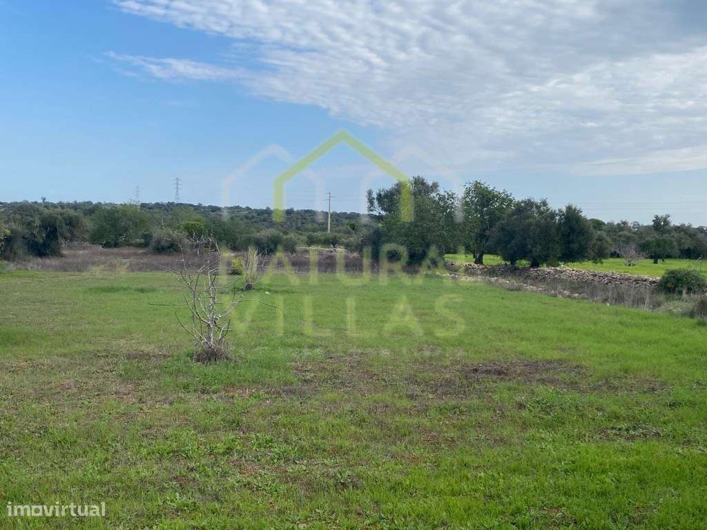 Terreno Rústico Plano junto a Estrada Alcatroada em Estoi - Grande imagem: 3/5