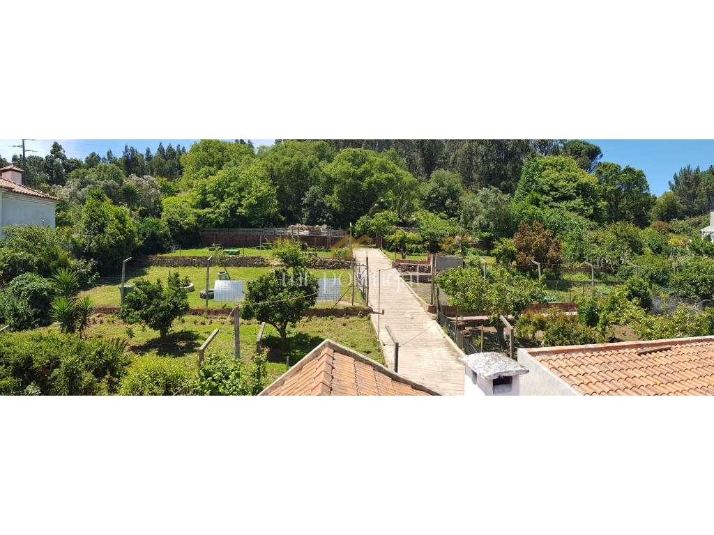 Quintinha em Mafra com 5.375m² | Moradia T2 + Potencial de Construç...-8