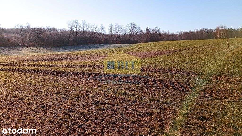 Działka Budowlana przy jeziorze Kaleńskim - Pełny obrazek: 4/18