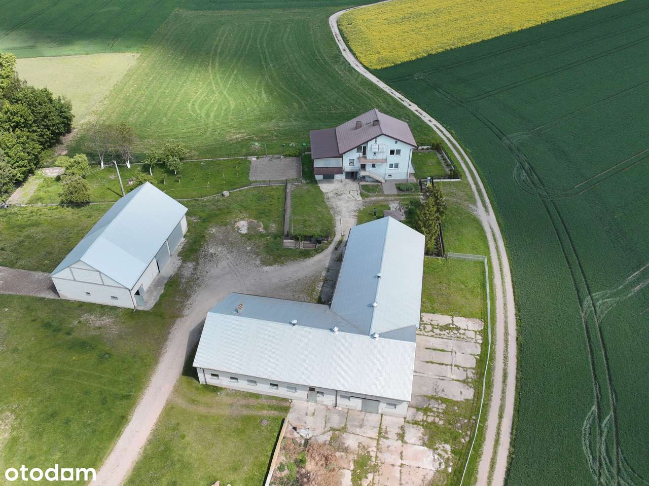 Budynki |Usługi, Magazyn, Produkcja | Duża działka | Sprzedaż-7