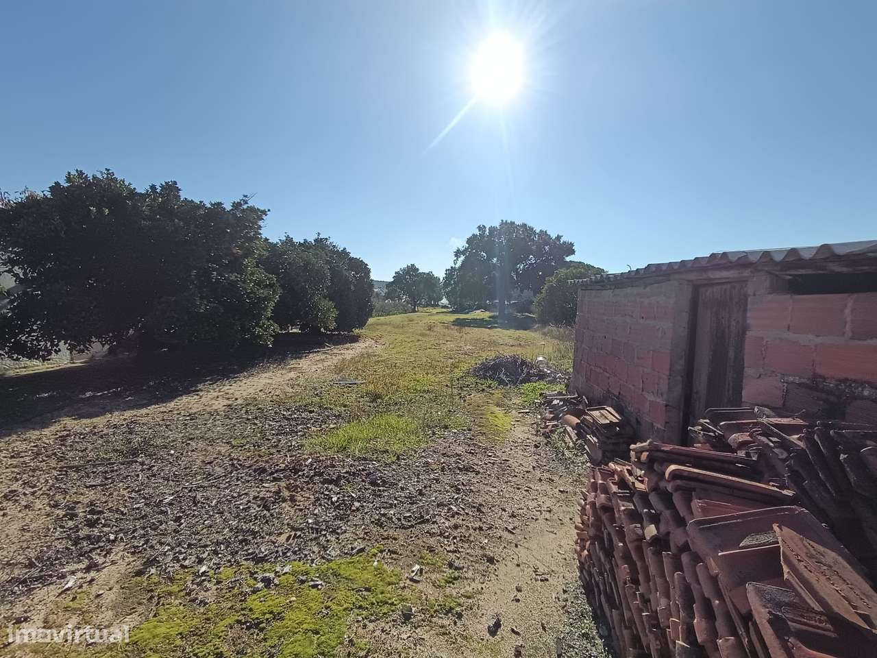 Lote urbano para construção todo vedado e com anexos em Alpiarça-3