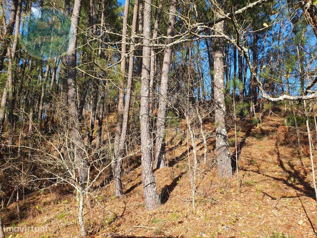 Quinta à venda, localizada no Lugar de Água Redonda, Cabeceiras de ...-29