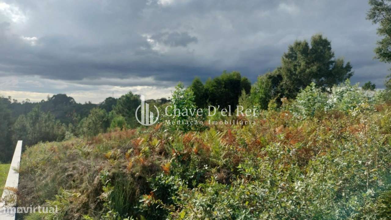 Terreno Para Construção  Venda em Cavernães,Viseu - Grande imagem: 4/11