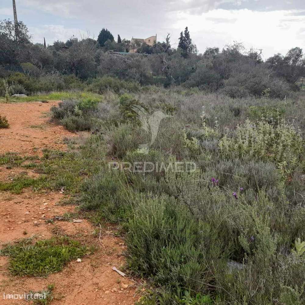 Terreno Rusticocom 1960m2 ao lado da estrada M516 - Grande imagem: 2/11