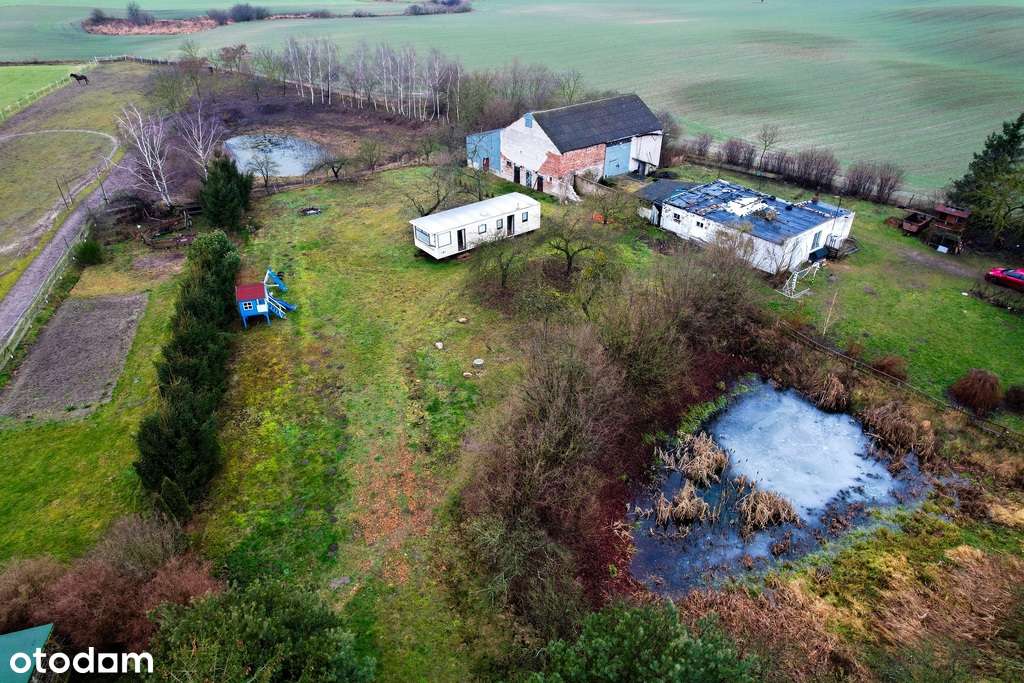 Urokliwa działka ze stawem SPOKÓJ I CISZA Nowa cen-3